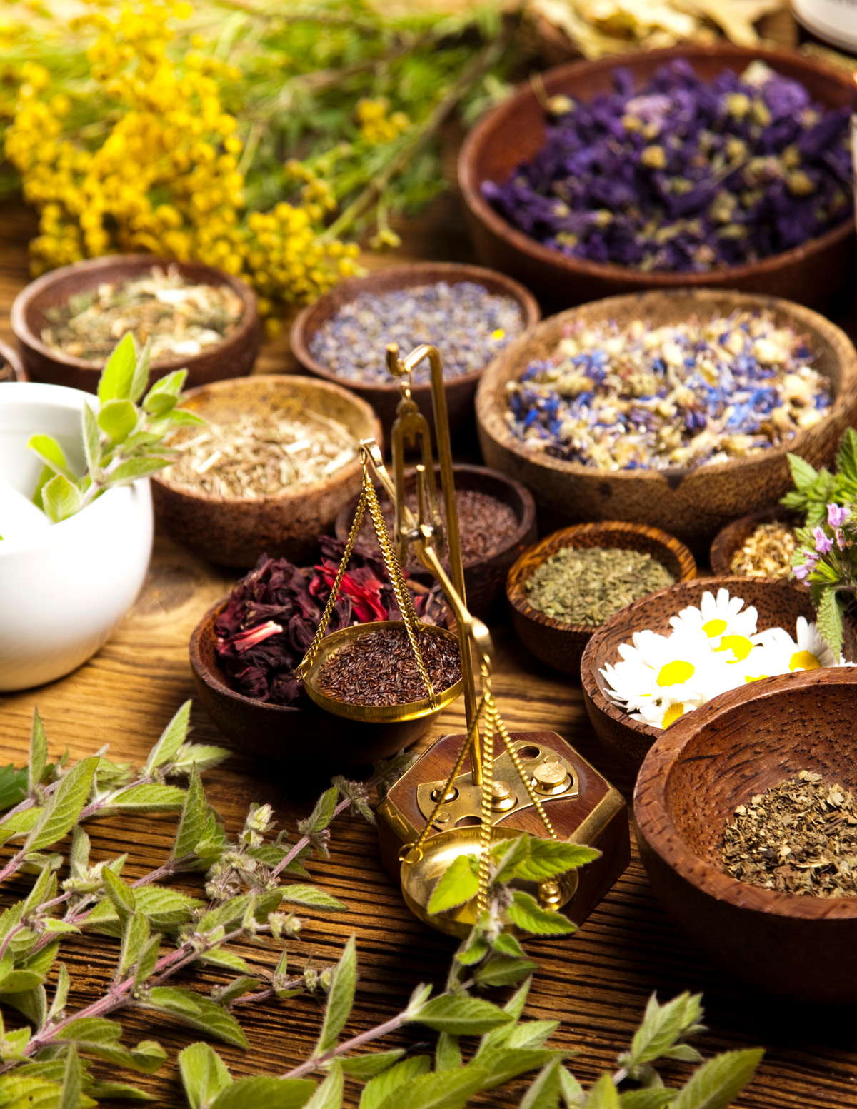 The Herbalist Collection | Traditional Roots, Stems & Botanicals| Kumbatia