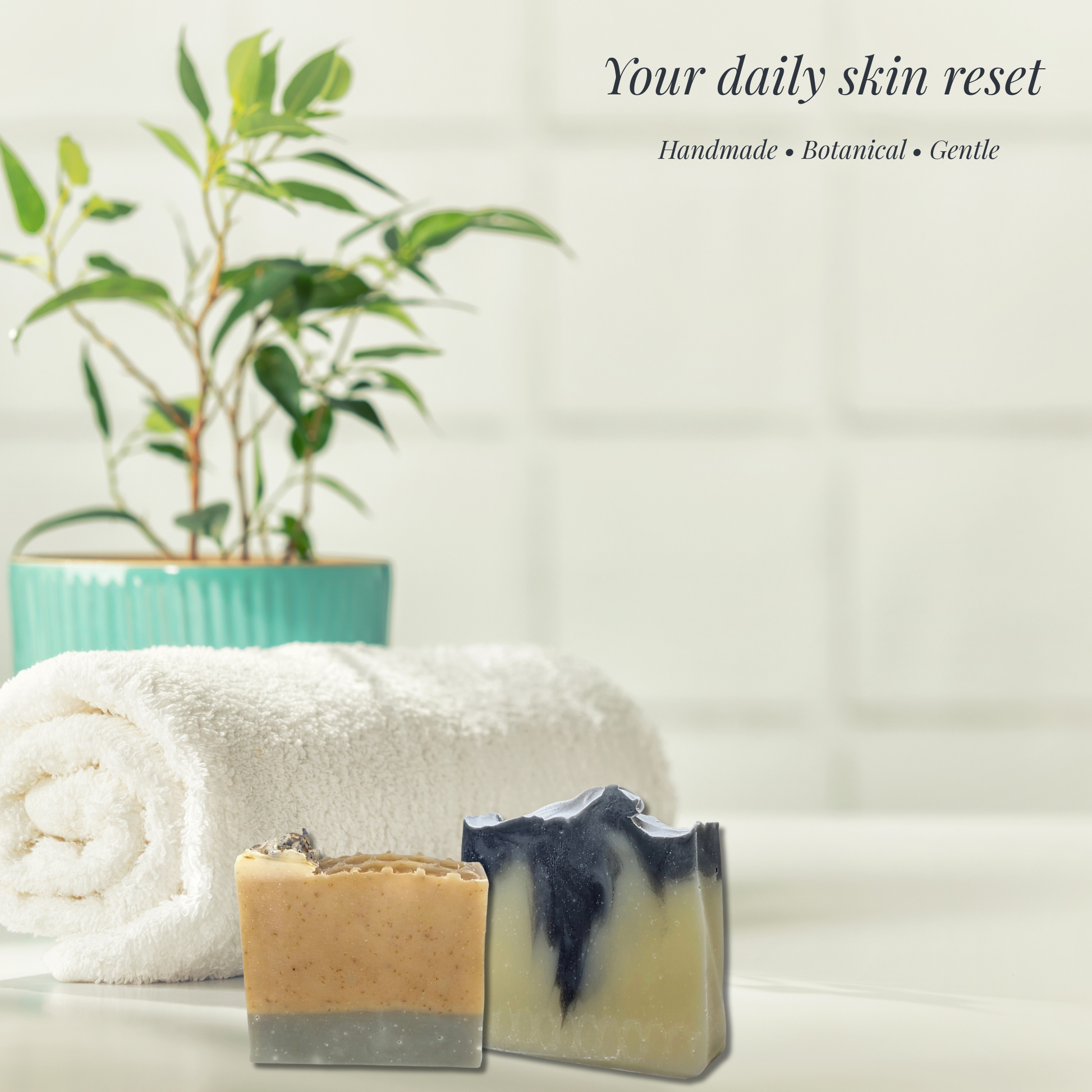Two bars of soap on a white surface with a plant in the background and text about daily skin reset.