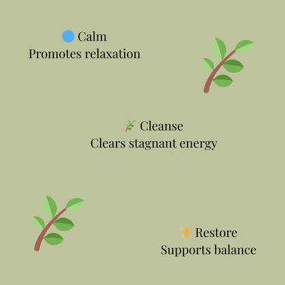 Illustrations of branches with text on a green background